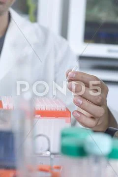 A research technician pulling a test tube out of a test tube rack Stock Photos