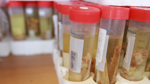 Research Test Tubes 스톡 동영상 37097808