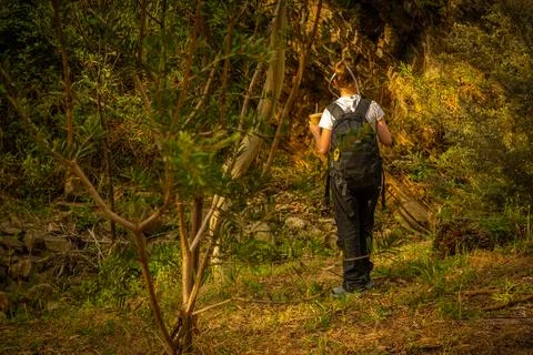 Research in the Wild Stock Photos