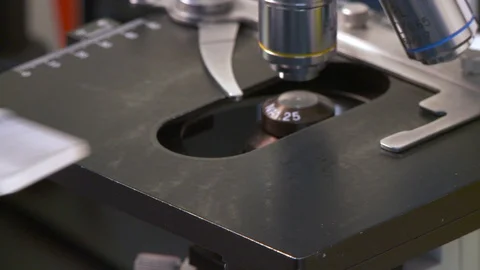 Researcher add liquide to microscope slide and views closeup Stock Footage 107988682