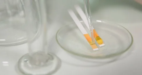 Researcher Adding Dropping Liquid in Ph Testers with Micro Pipette Laboratory Stock Footage 85549568