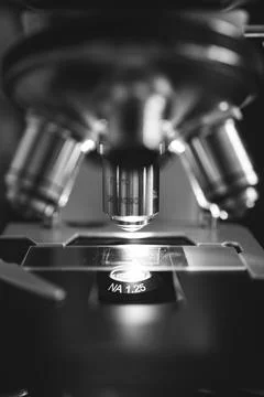 Researcher adjusting microscope under light Stock Photos