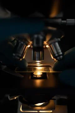 Researcher adjusting microscope under light Stock Photos