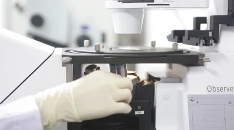 A researcher adjusts microscope for the focus at a laboratory Video stock 35187776