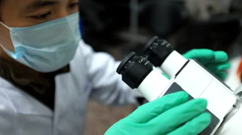 A researcher adjusts a microscope for the focus at a laboratory Stock Footage 35187778