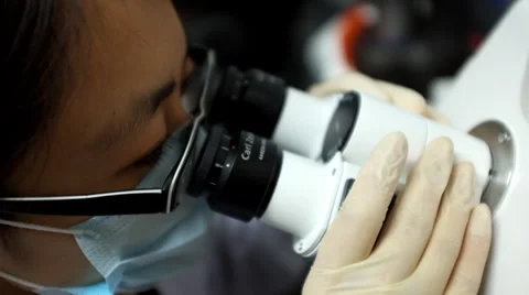 A researcher adjusts a microscope for the focus at a laboratory Stock Footage 35189568