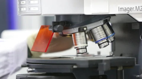 A researcher adjusts a microscope for the focus at a laboratory Stock Footage 35191130