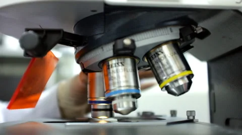 A researcher adjusts a microscope for the focus at a laboratory Stock Footage 35193006
