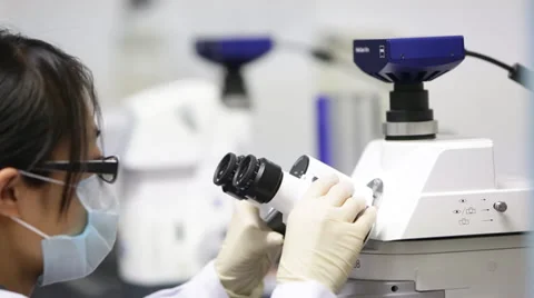 A researcher adjusts a microscope for the focus at a laboratory Stock Footage 35197762