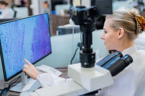 Researcher analyzes cell samples at laboratory workstation using microscope.. Stock Photos