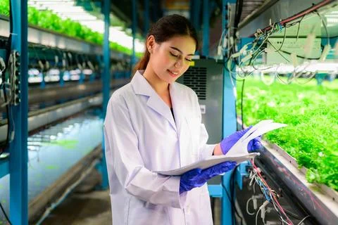 Researcher checking and working with vegetable at greenhouse agriculture Stock Photos