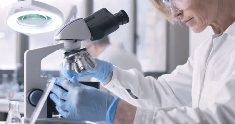 A researcher examines a biological sample under a microscope. Stock Footage 297759056