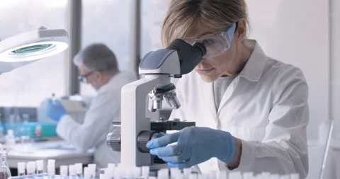 A researcher examines a biological sample under a microscope. 動画素材 297759061