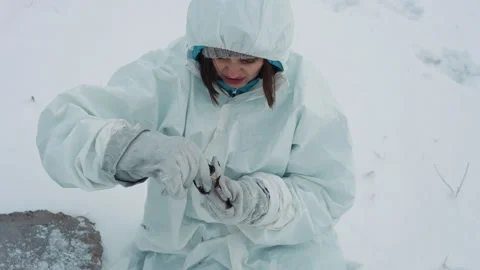 Researcher examines snow sample. Scientist checks icy specimen carefully Stock Footage 346470483