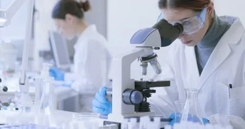 Researcher examining a sample using a microscope Stock Footage 211380539