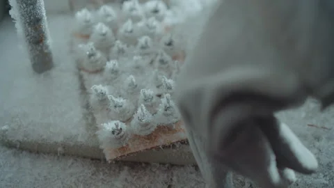 Researcher gently collects historic sample in harsh environment. Field expert Stock Footage 346470681