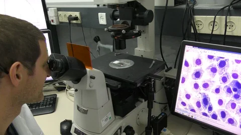 A researcher inspecting heart cells in the microscope. 스톡 동영상 106409647