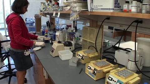Researcher at lab bench opens drawer wide shot Vidéo 72004175