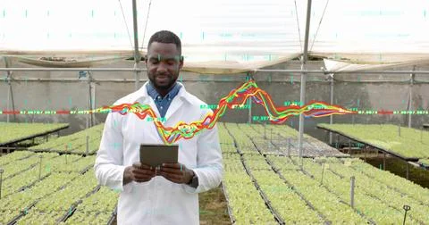 Researcher in lab coat with tablet analyzing data in greenhouse, with seedlings Stock Photos