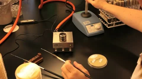 Researcher in laboratory working on testing mrsa infections Stock Footage 11314300