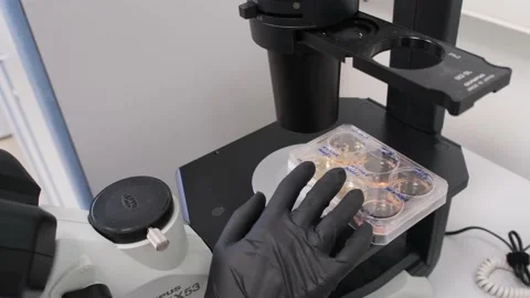 A researcher looks through a microscope at a solution Stock Footage 150305729