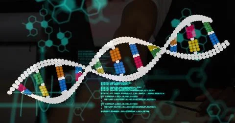 Researcher manipulating touchscreen tabletop in lab, with floating DNA helix and Stock Photos