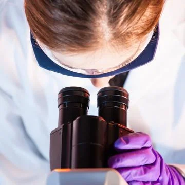 Researcher microscoping. Stock Photos