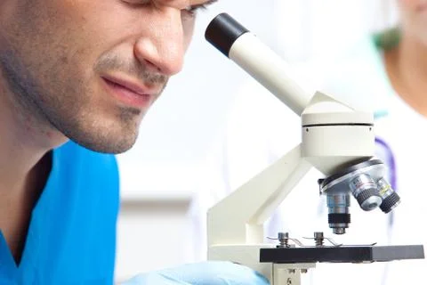 Researcher Stock Photos