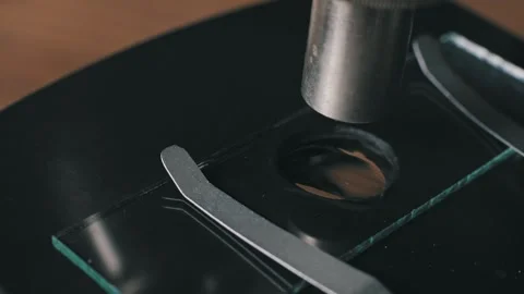 Researcher Prepares Liquid Sample on Microscope Slide Stock Footage 320576322