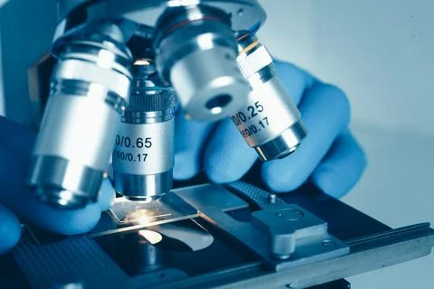 Researcher preparing sample for microscope analysis Stock Photos