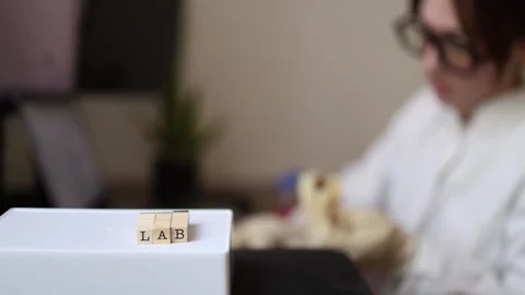 Researcher processes samples in laboratory 库存影片 337571385