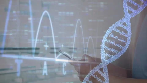 Researcher tapping tablet and studying holographic genomic waveform, rotating Video stock 313493839