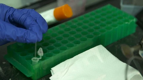 Researcher With Test Tube Study Sample, Lab Scene Stock Footage 110890267