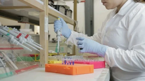 A researcher transfer samples to smaller vials in a genetic laboratory at univer Stock Footage 97759642