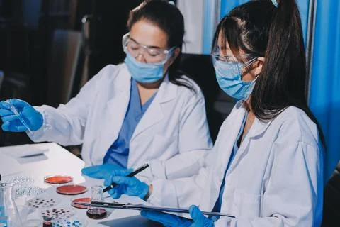 Researcher using a professional microscope Foto stock