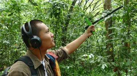 Researcher using radio telemetry/tracking to find an animal Stock Footage 63257272