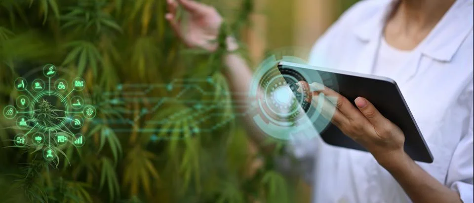 Researcher using tablet computer analysis data and visual icon. Business Stock Photos