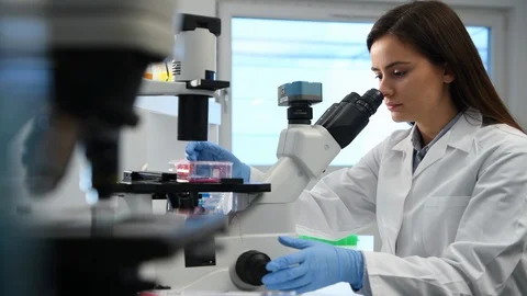 Researcher viewing stem cell cultures under a microscope in a laboratory Stock Footage 129902862
