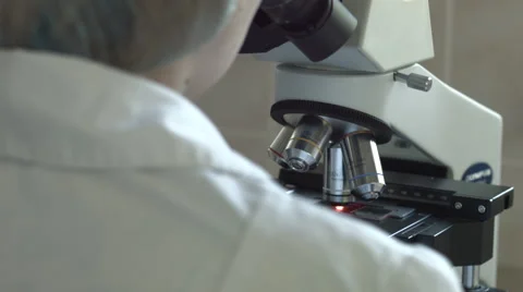 Researcher viewing through microscope Vidéo 52033806
