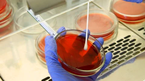 Researcher work with tubes in laboratory Vidéo 52161282