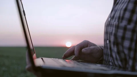 Researcher working in green field of wheat at sunrise 動画素材 77204690