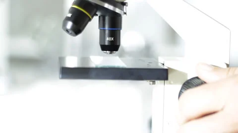 Researcher working in lab with microscope, close-up Stock Footage 29665252