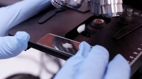Researcher working in lab with microscope, close-up 스톡 동영상 59759443