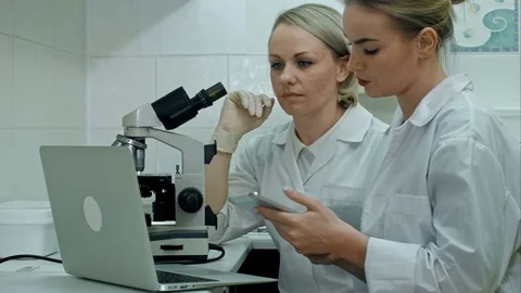 Researchers in labcoats are checking the samples on microscope in bright lab Stock Footage 77248029