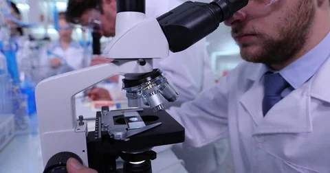 Researchers Team Work Bacteriologists Studying Bacteria on Microscope Laboratory Stock Footage