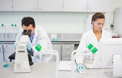 Researchers using microscope and computer in the lab Stock Photos