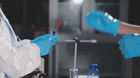 Researchers working in the clinical laboratory Stock Footage 345606653
