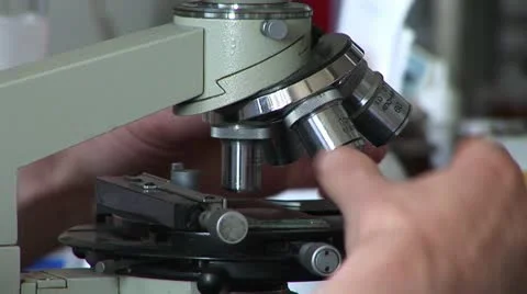 Researchers working in lab with microscope, close up Stock Footage 22225227