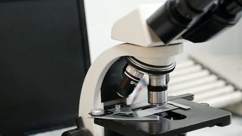 Researchers working in lab with microscope, close up Stock Footage 95253604
