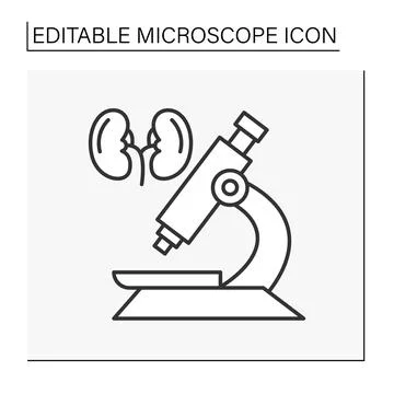Researching line icon Illustrazione stock